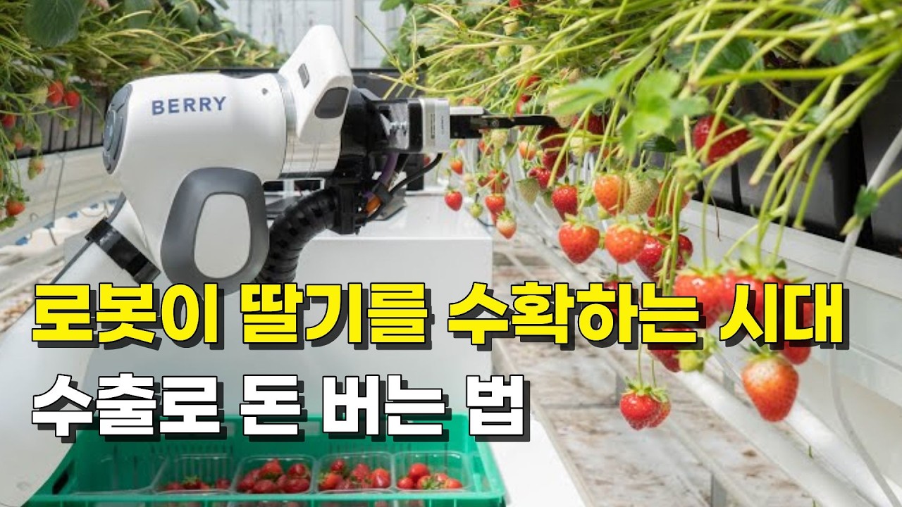 로봇이 딸기 수확하는 날이 왔다!?｜농업e지로 농사도 스마트하게!