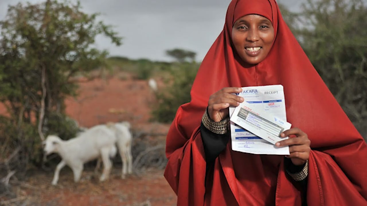 Fifty years of innovation: Celebrating ILRI Ethiopia