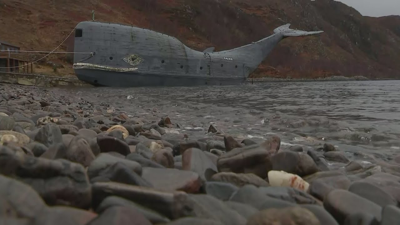 Man builds 65 ft whale-shaped boat to sail across the Atlantic