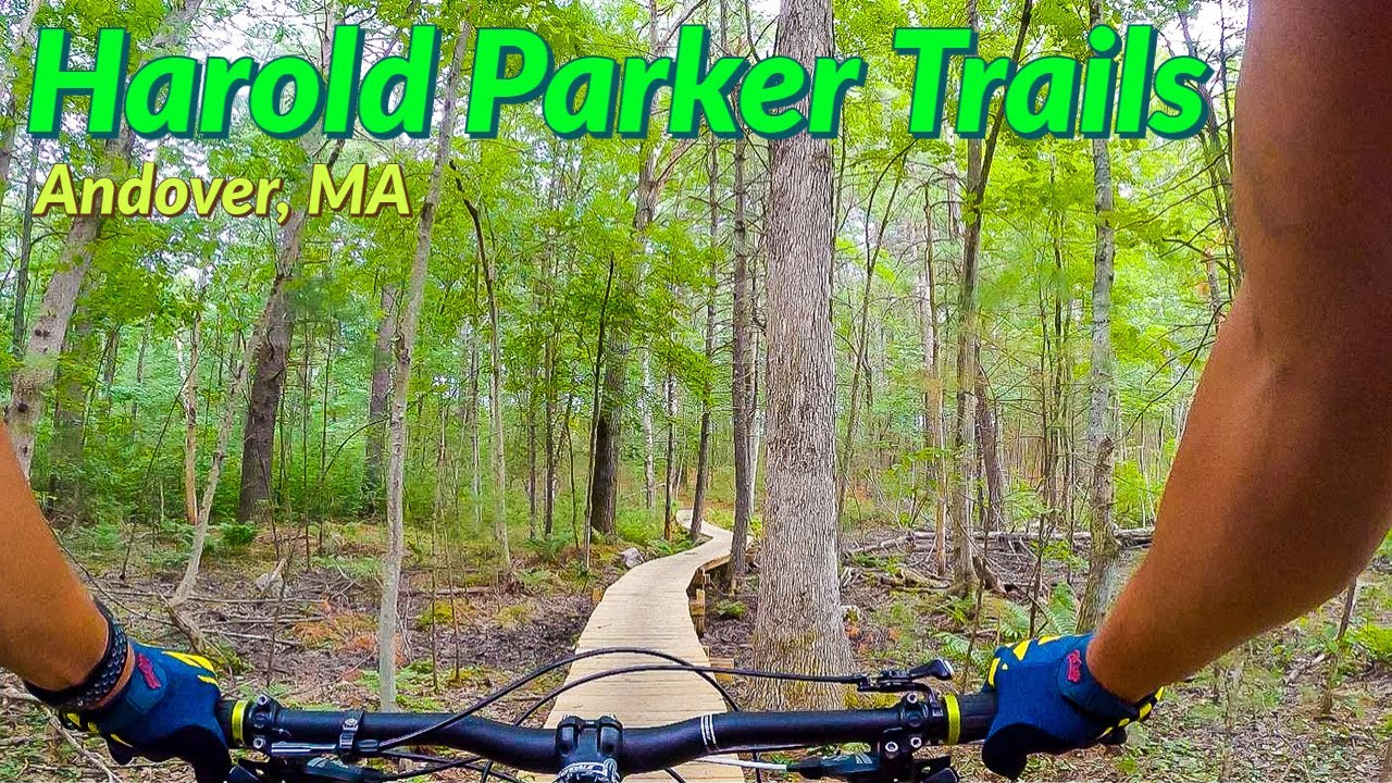 Harold Parker State Forest Mountain Bike | Andover MA