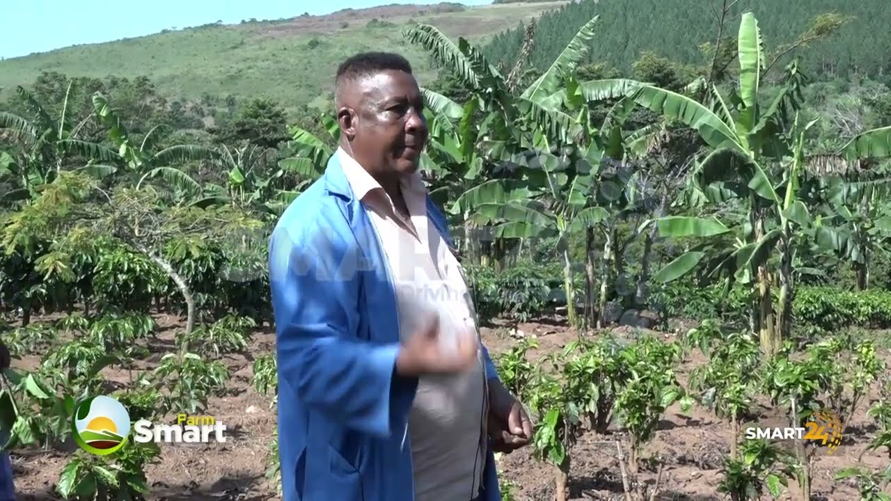 COFFEE GROWING TIPS IN UGANDA