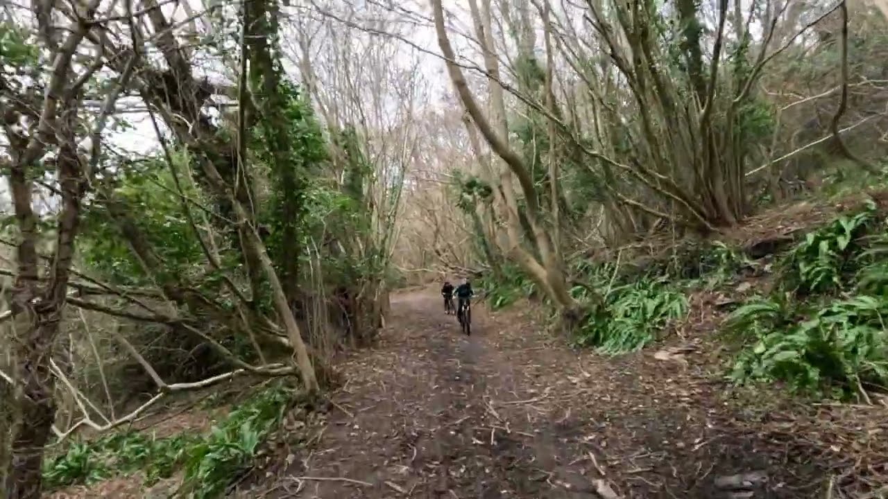 Plymouth and Dartmoor Railway part 2 - Crabtree to Leigham Tunnel