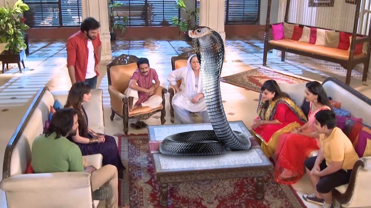नागिन ने अपने परिवार के सामने किया अपने राज का खुलासा | Icchapyaari Naagin | New Naagin Episode 2024