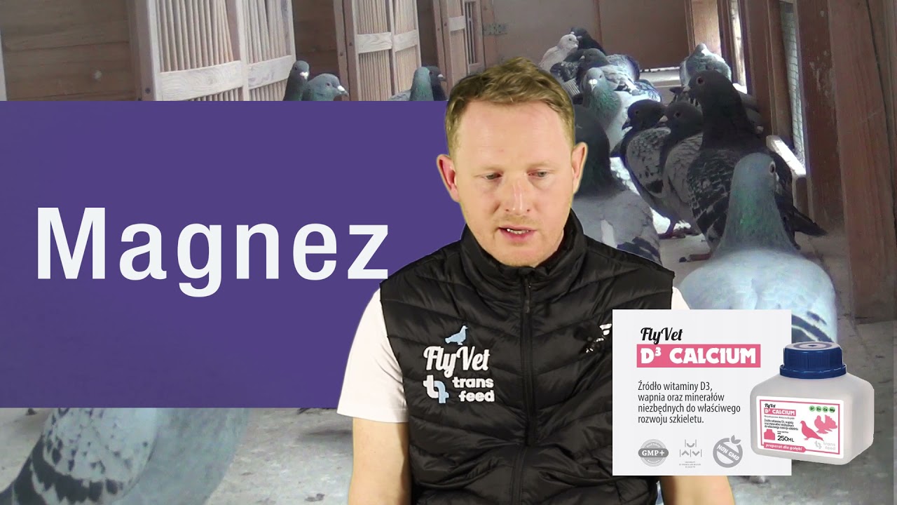 FLYVET- CALCIUM D3- optymalizacja suplementacji - omówienie,