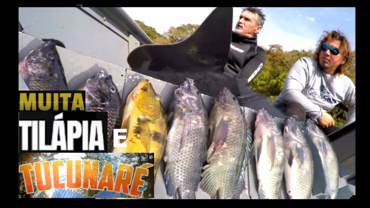 PESCA SUB - VALE DOS TUCUNARÉS - | FAMA SUB | #pescasub # rio grande #fishing .