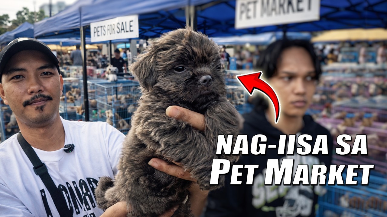 BIBIHIRANG KULAY YAN !