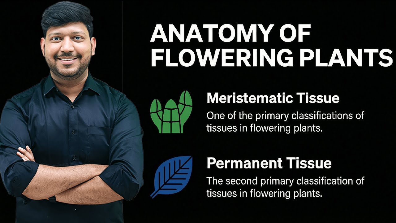 Lec - 02 Anatomy of Flowering Plants Word to word NCERT | Meristematic & Permanent Tissue #neet2026