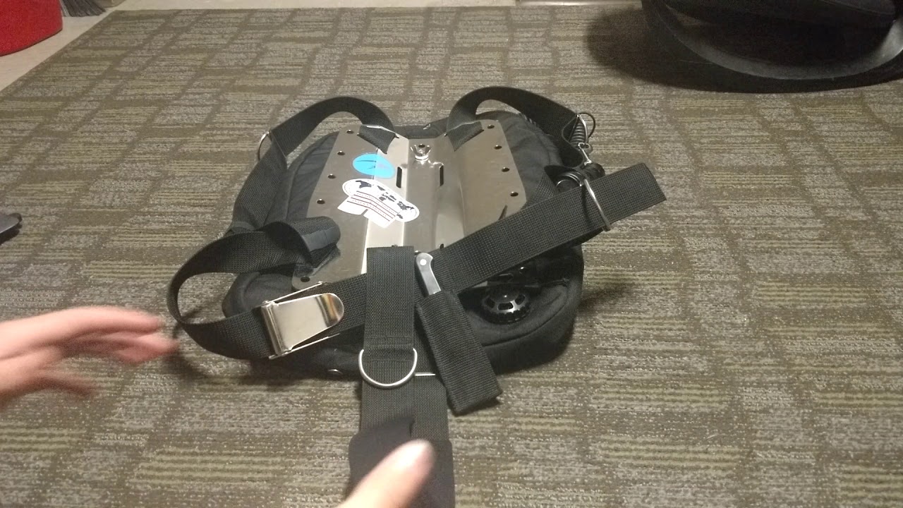 DGX backplate and wing review