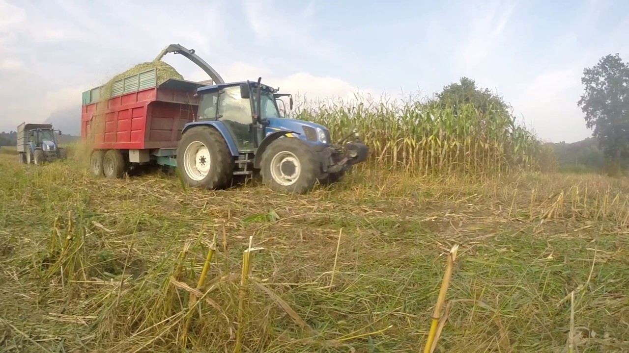 Insilato di mais 2016 / Claas Jaguar 840 / New Holland 5060, 5070x2, T7.175 / Fiatagri 80-66 S