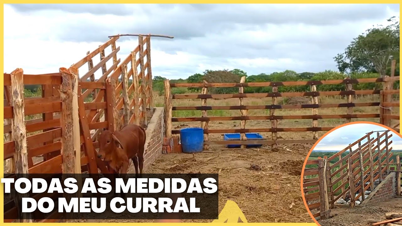 MEDIDAS DO MEU CURRAL TRAVEJADO PARA MANEJO