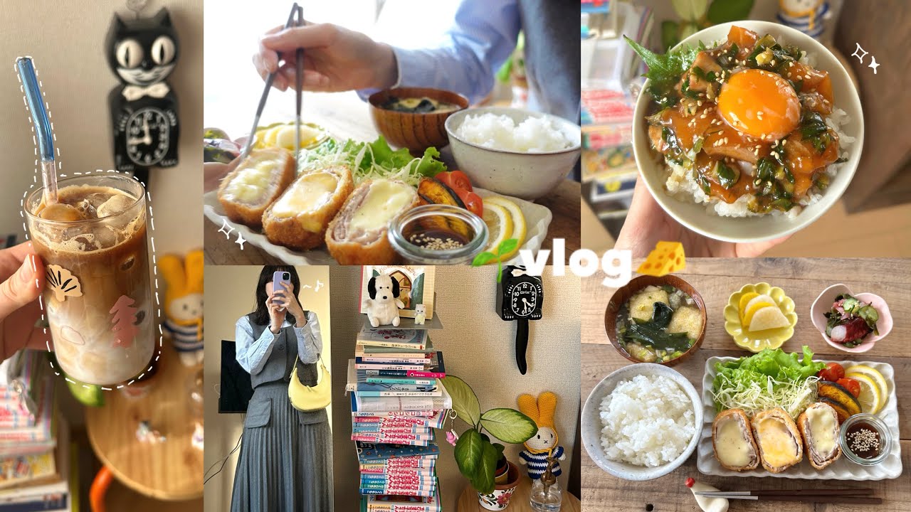 vlog》おうちごはんとおうち時間が好きになる社会人の休日🧀💭｜チーズとんかつ、サーモン丼、自炊記録