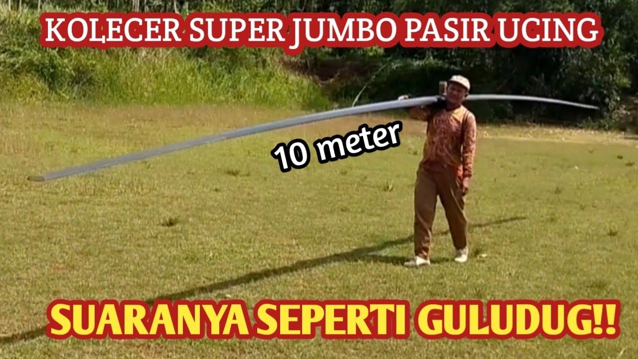 Kolecer Super Jumbo Pasir Ucing, Panjang 10  Meter Suaranya Seperti Guludug