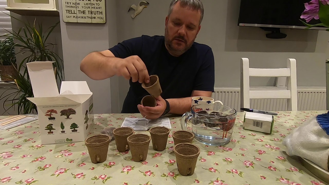 Bonsai Tree Starter Kit -  Garden Coliseum Episode 1 - September 2019