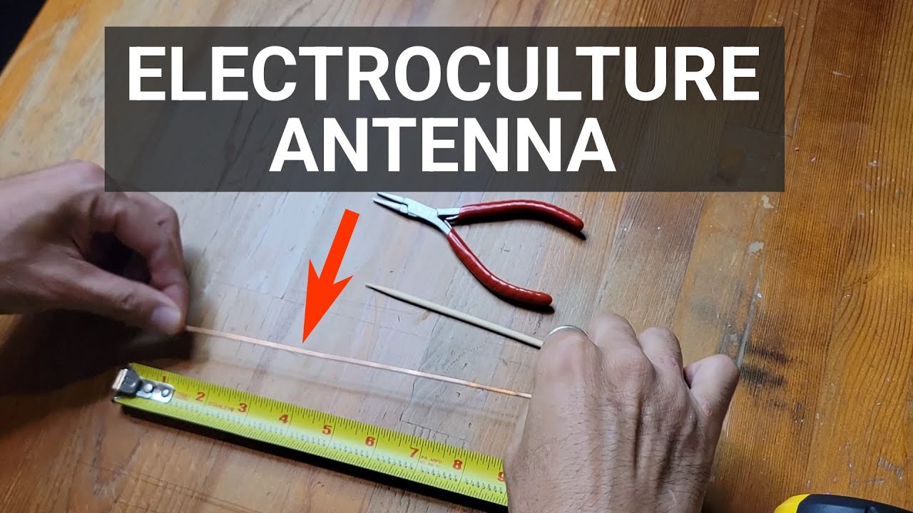 Самодельная электрокультурная антенна для горшечных растений