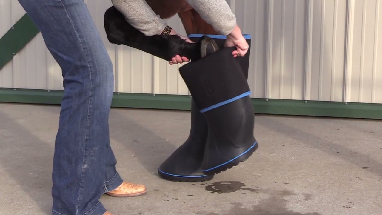 Easyboot Remedy