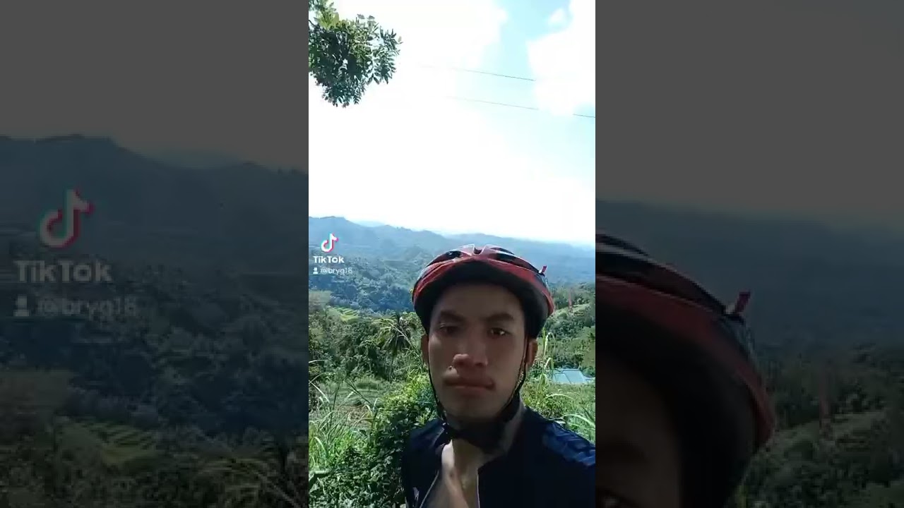 bucari 💚