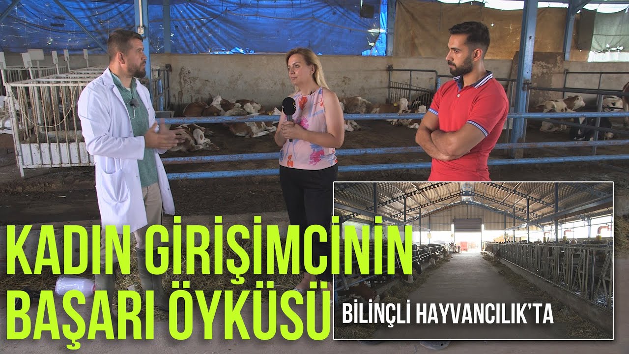 Kadın Girişimcinin Başarı Öyküsü (Büyükbaş Hayvan Çiftliği) - Bilinçli Hayvancılık #çiftlik
