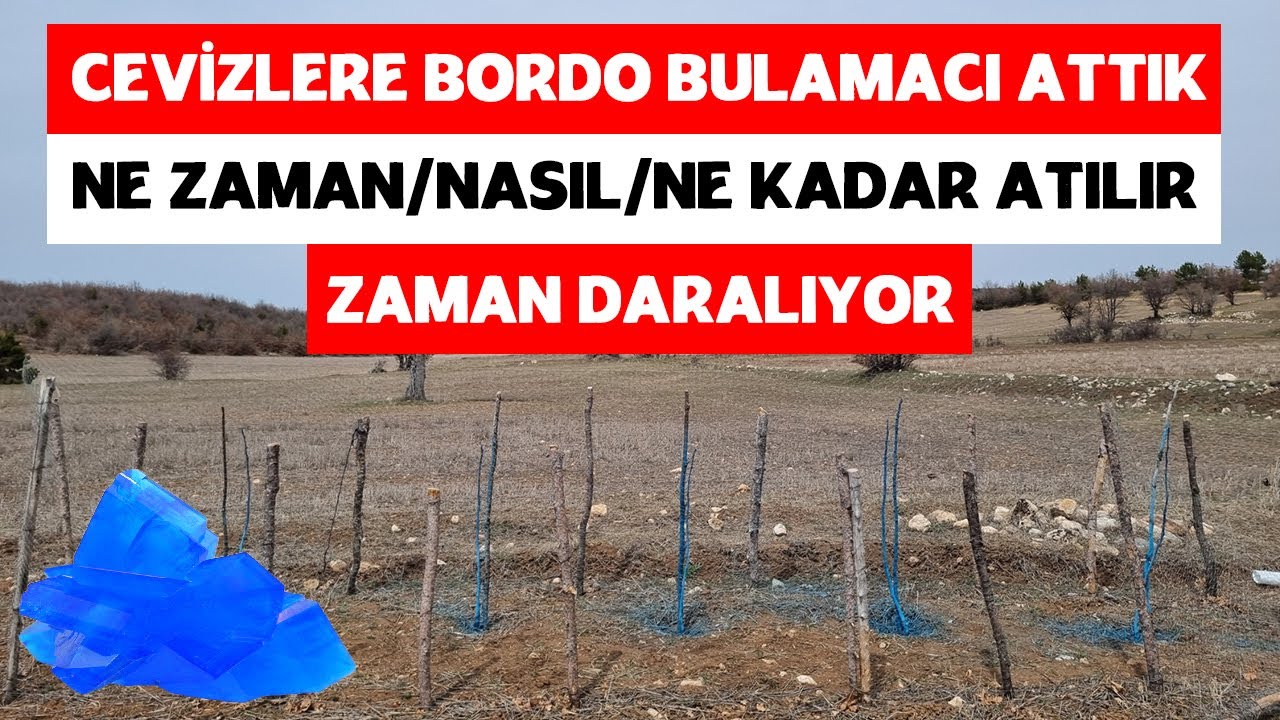Bordo Bulamacı Nedir, Nasıl ve Ne Zaman Uygulanır, Uygularken Nelere Dikkat Edilir?/ Ceviz Vlog 11