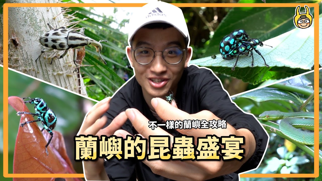 【皮特玩自然】發現蘭嶼生態秘寶，不一樣的蘭嶼之旅(上)