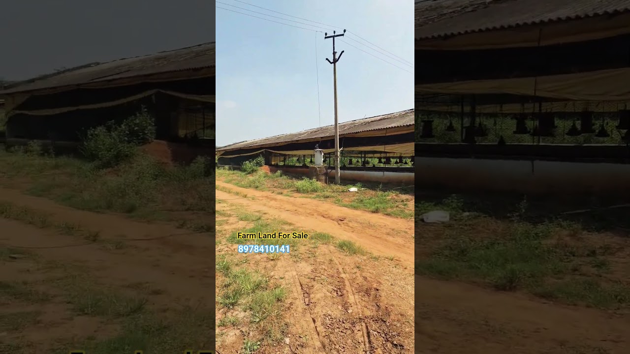 Farm Land For Sale In Shadnagar | 8978410141 #realestate #hyderabad #property #shorts #youtubeshorts