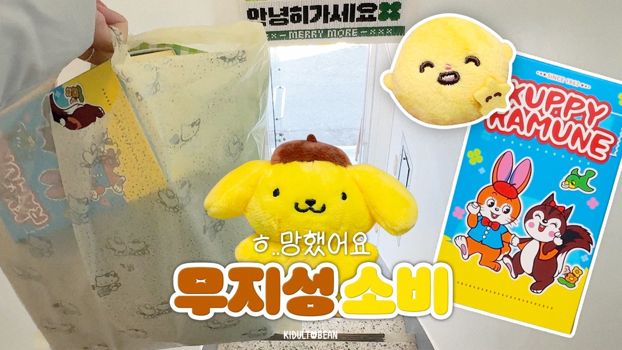 무지성 쇼핑의 위험성, 망원동 브이로그💸망한 덕질 브이로그