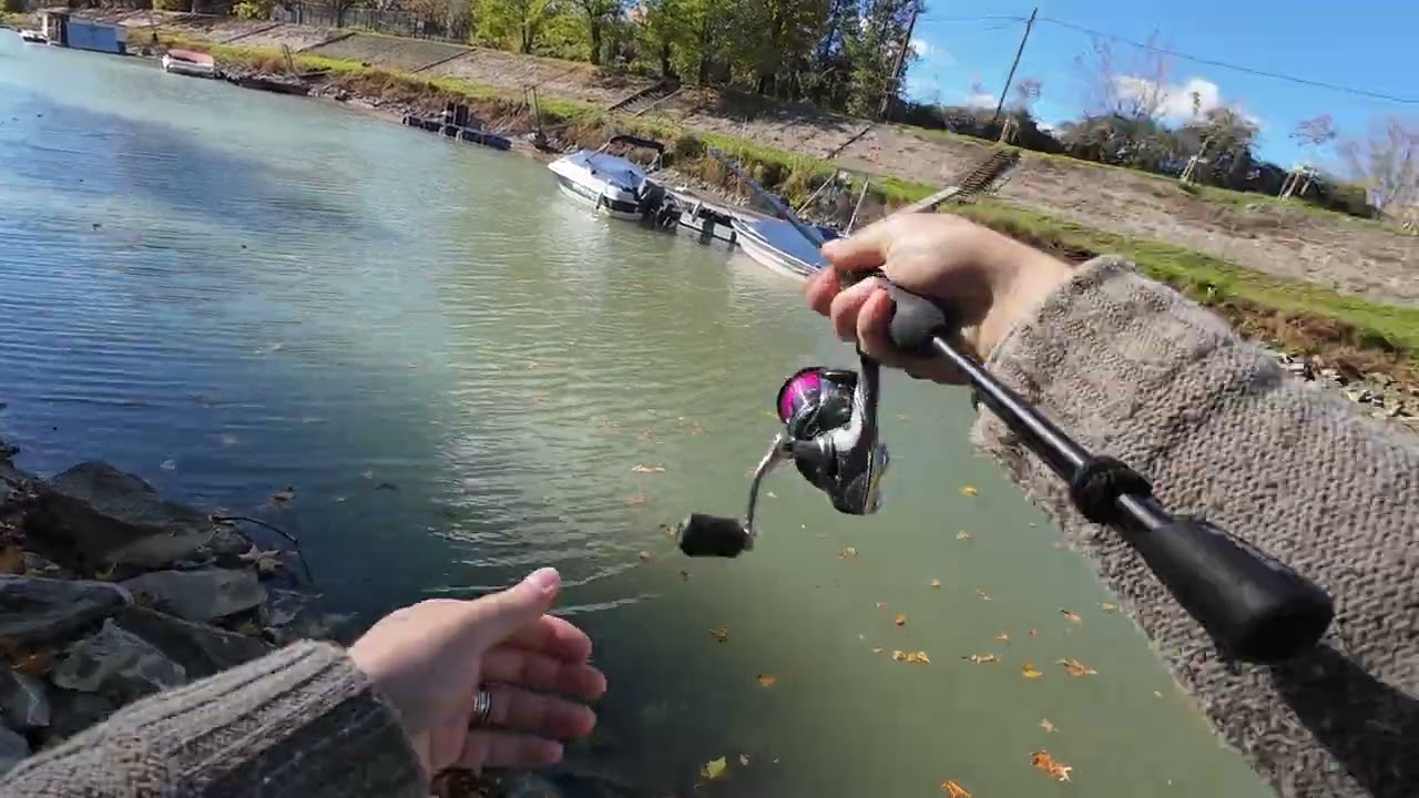 🎣 Winds, Waves & Tiny Catches – Fighting the Storm for Zander & Perch!