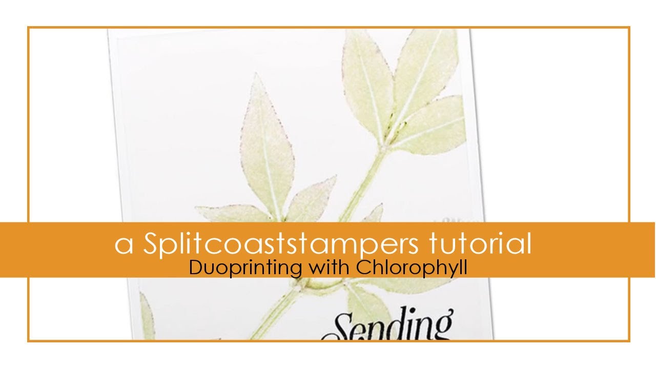 Duoprinting With Chlorophyll