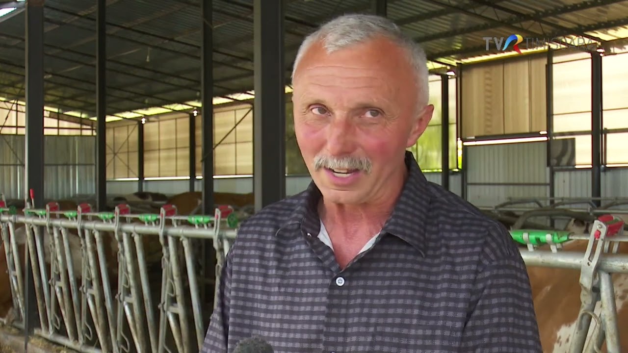 Familia Vâșcu a investit 300000 euro în robotizarea unei ferme de 60 de vaci #SatulMeu @TVRTM