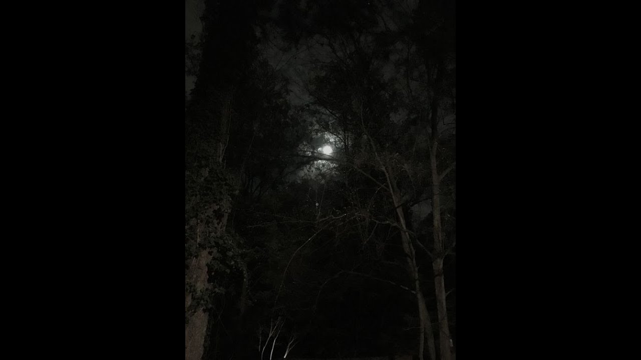 underground martyr omni type beat - omega