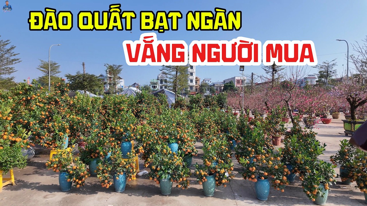 Chợ Tết 28 Tháng Chạp Vắng Khách, Đào Quất Thưa Thớt Người Mua