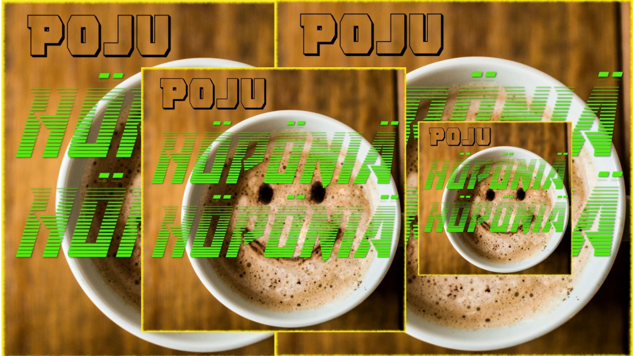 Poju-Höpöniä Höpöniä