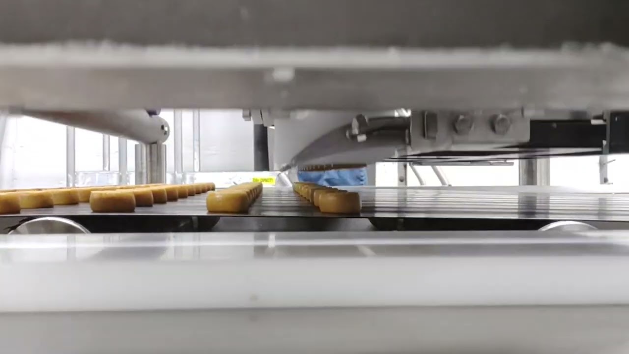 AXIS LD Depositor - Wire-cut Cookies