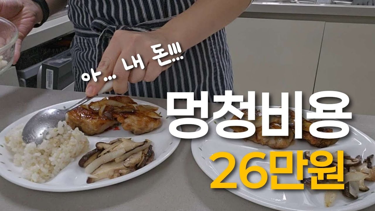 한순간에 26만원 날렸네요 | 롯데몰쇼핑하고 애슐리 뿌시기 | 전업주부 집밥 살림 브이로그