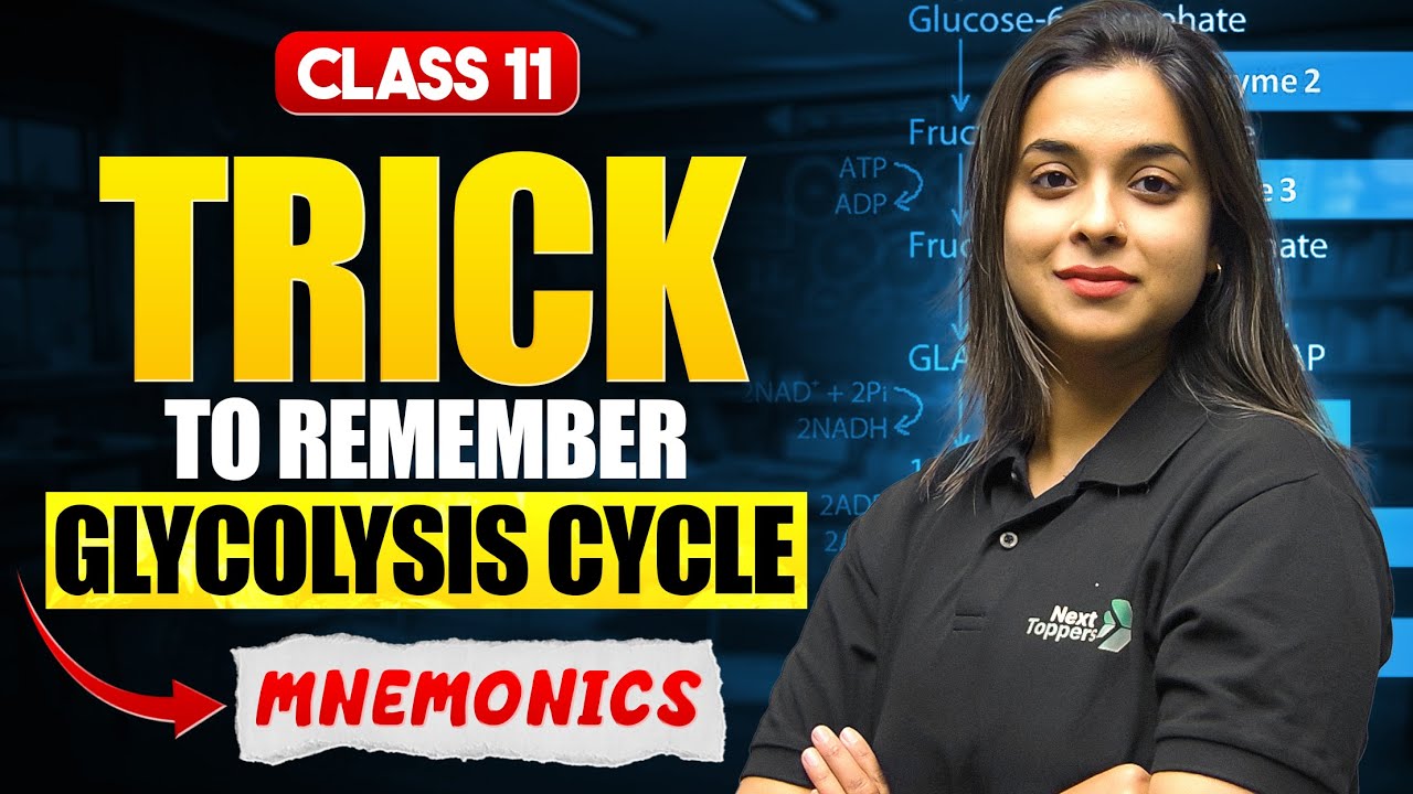 Glycolysis Cycle Trick | Glycolysis Mnemonics Class 11 Biology | CBSE 2025-26