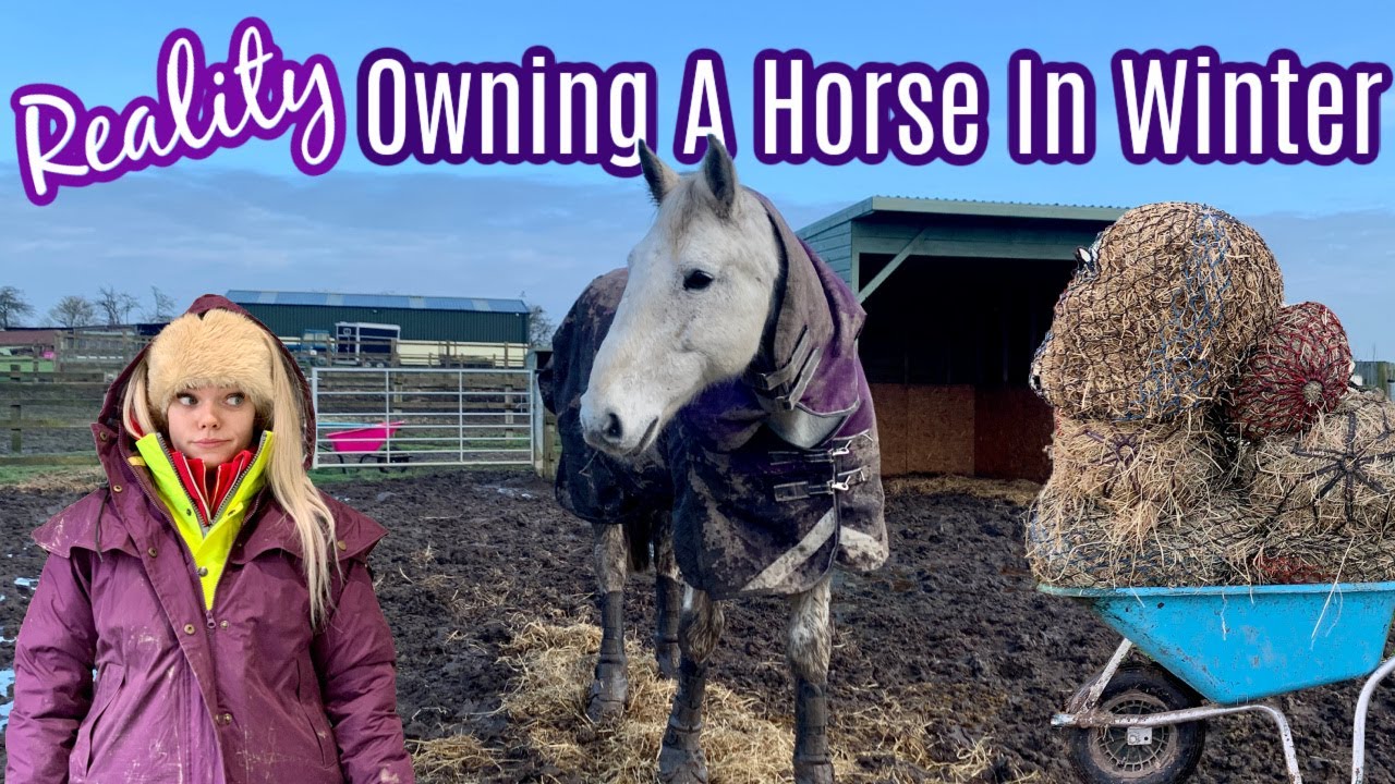 The Reality Of Owning Horses In Winter | Lilpetchannel
