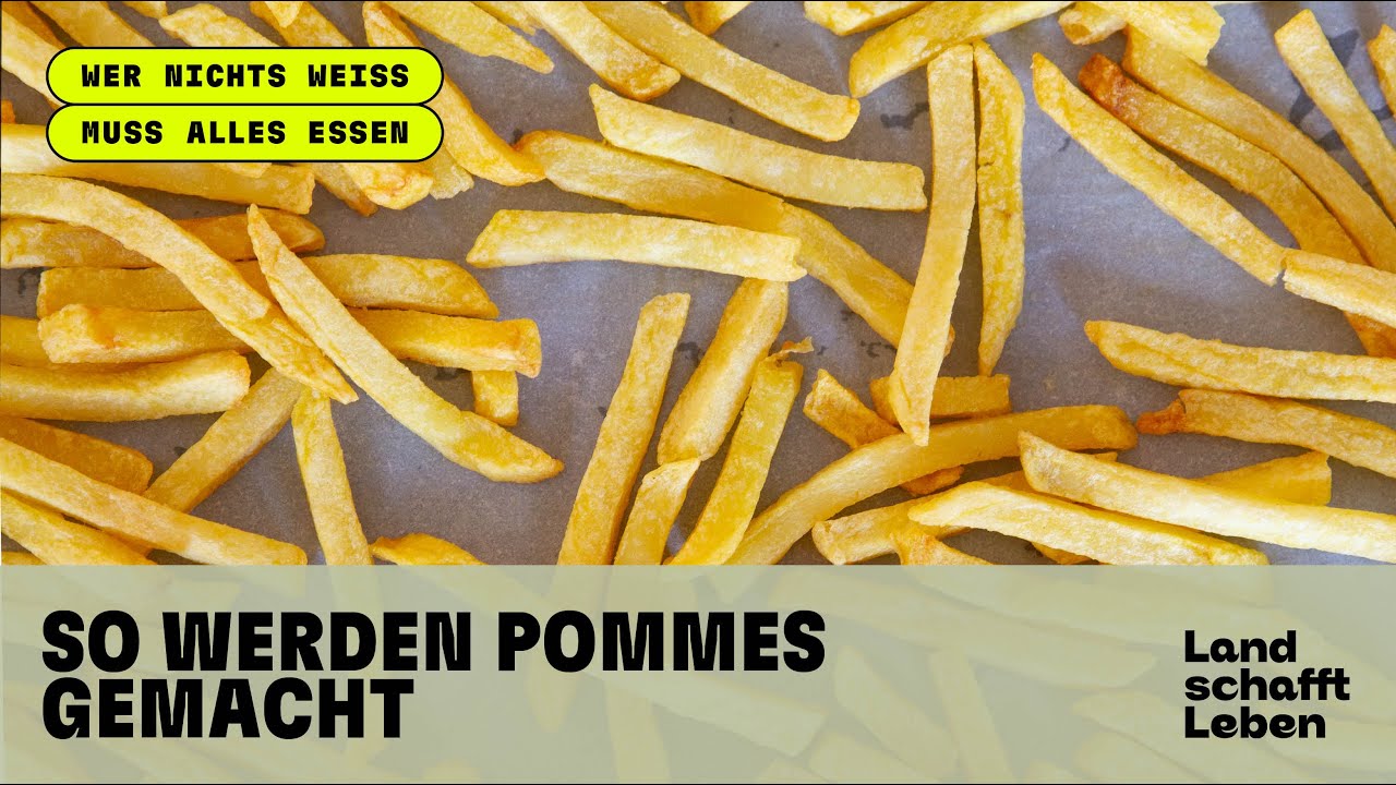 So werden Pommes gemacht!