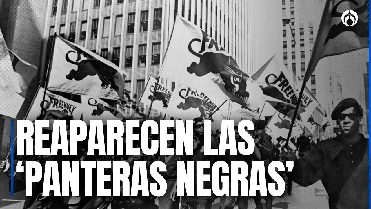 Movimiento 