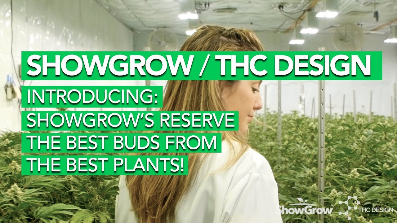ShowGrow's Reserve, The First Collaboration Between ShowGrow & THC Design
