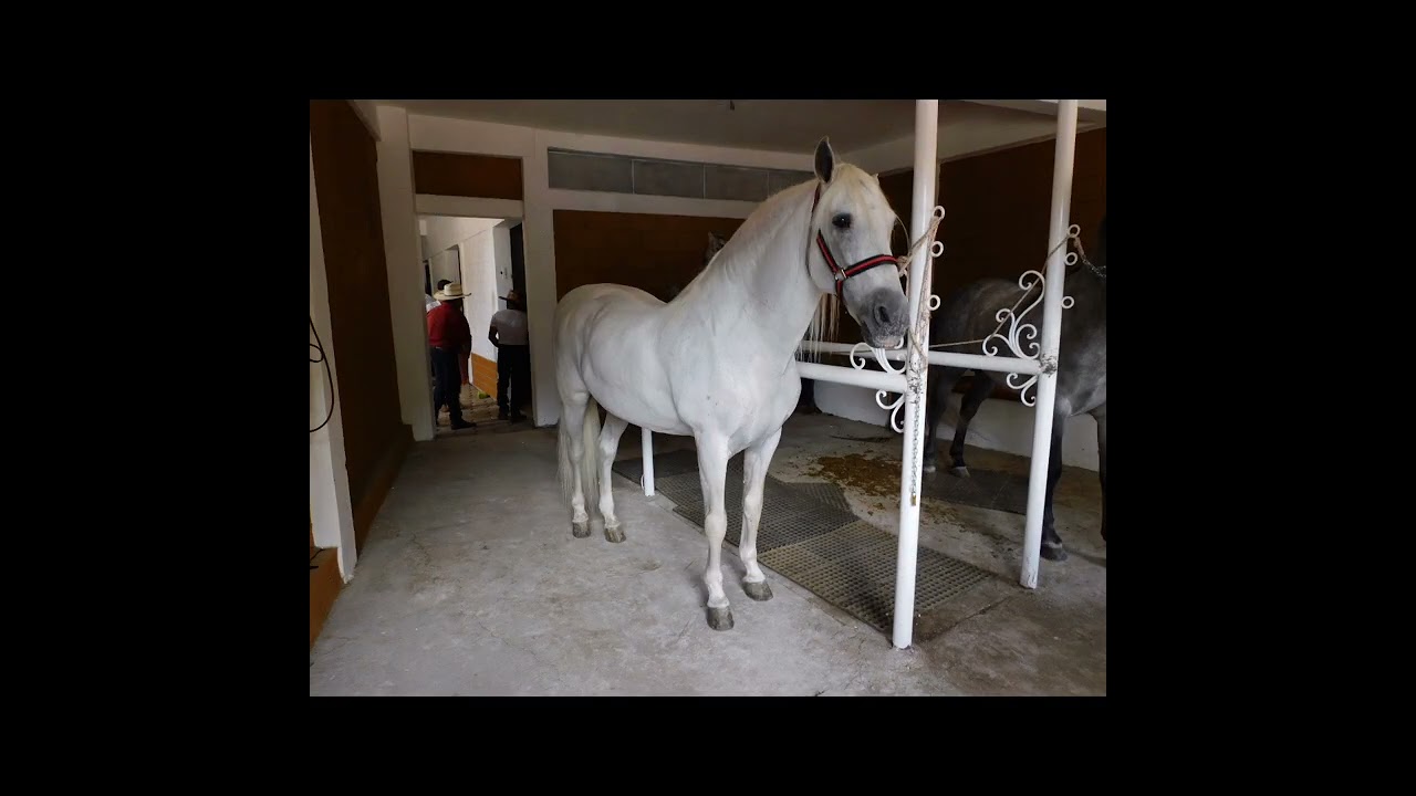 Rancho de Joan Sebastian