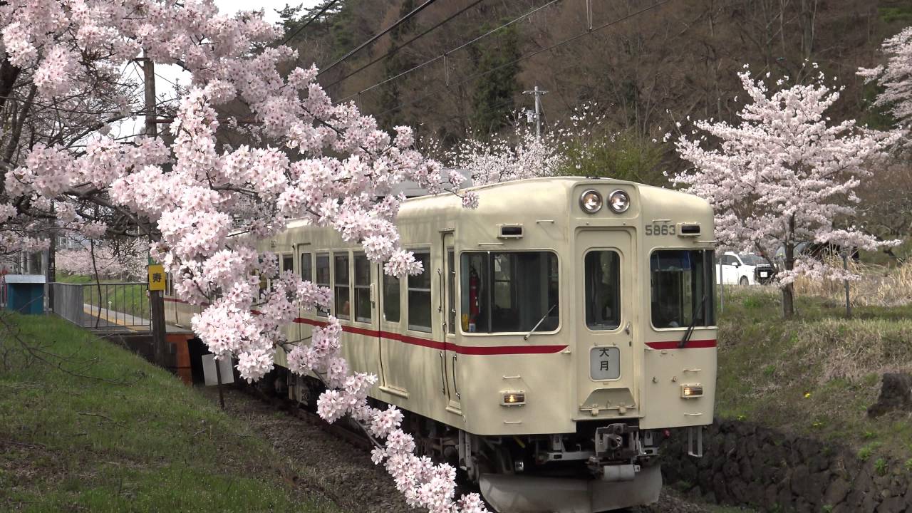 【4K】桜と富士急行線2016(寿駅・東桂駅・禾生駅・田野倉駅にて)
