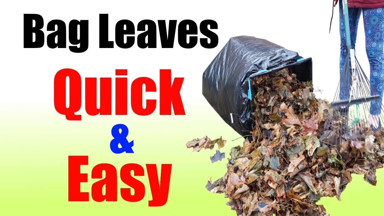 Leaf Bag Holder Back Yard Work Rake Leaves  & Outdoor Waste Cleanup Made Easy | BagEZ Bags Holders