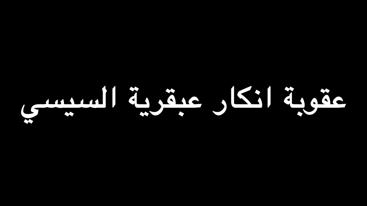 عقوبة انكار عبقرية السيسي | ندوة د. علاء الأسواني