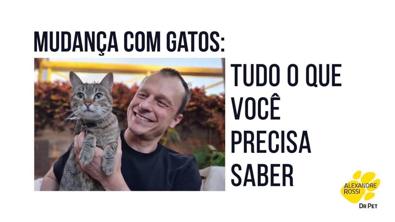 MUDAN&Ccedil;A COM GATOS: tudo o que voc&ecirc; precisa saber