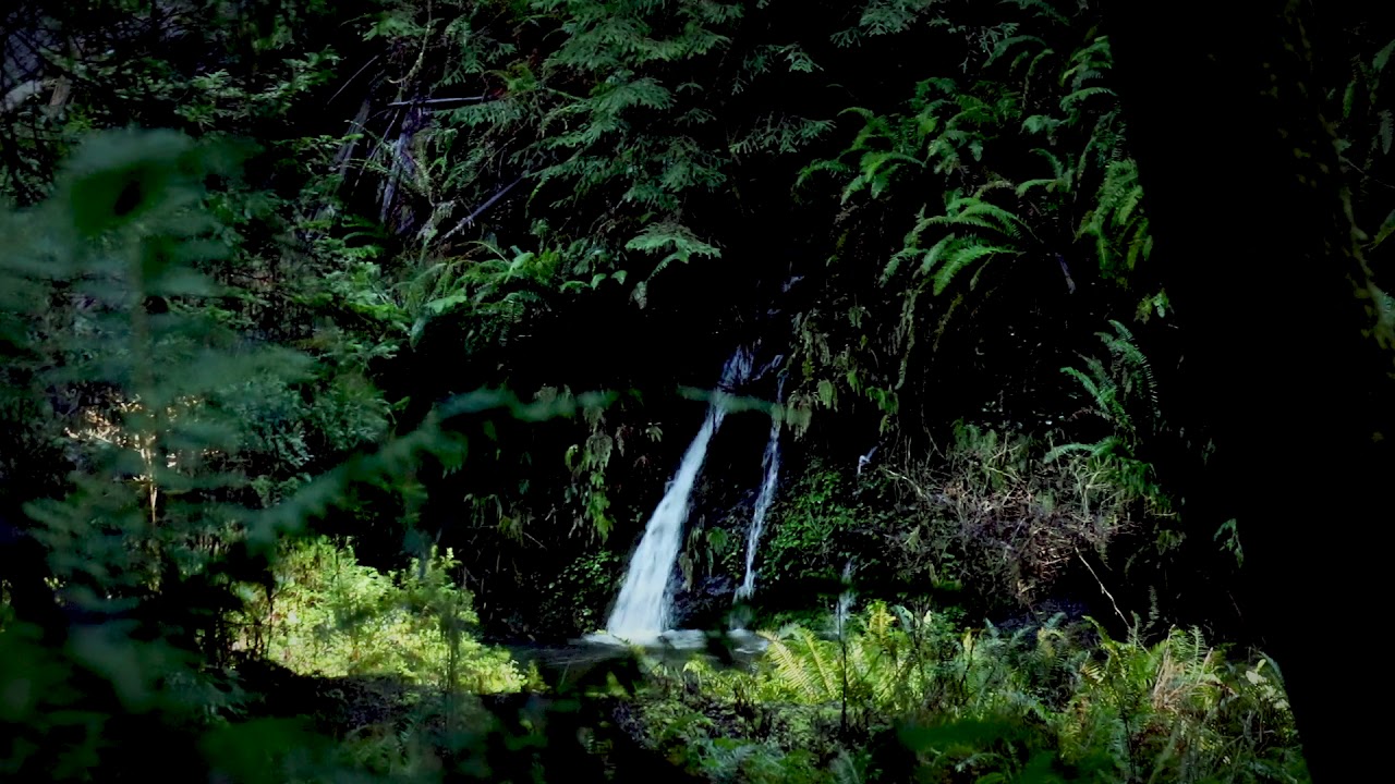 ASMR 8 Hours of a Gentle Waterfall in the Forest/Nature Sounds for Relaxation, Meditation, and Sleep
