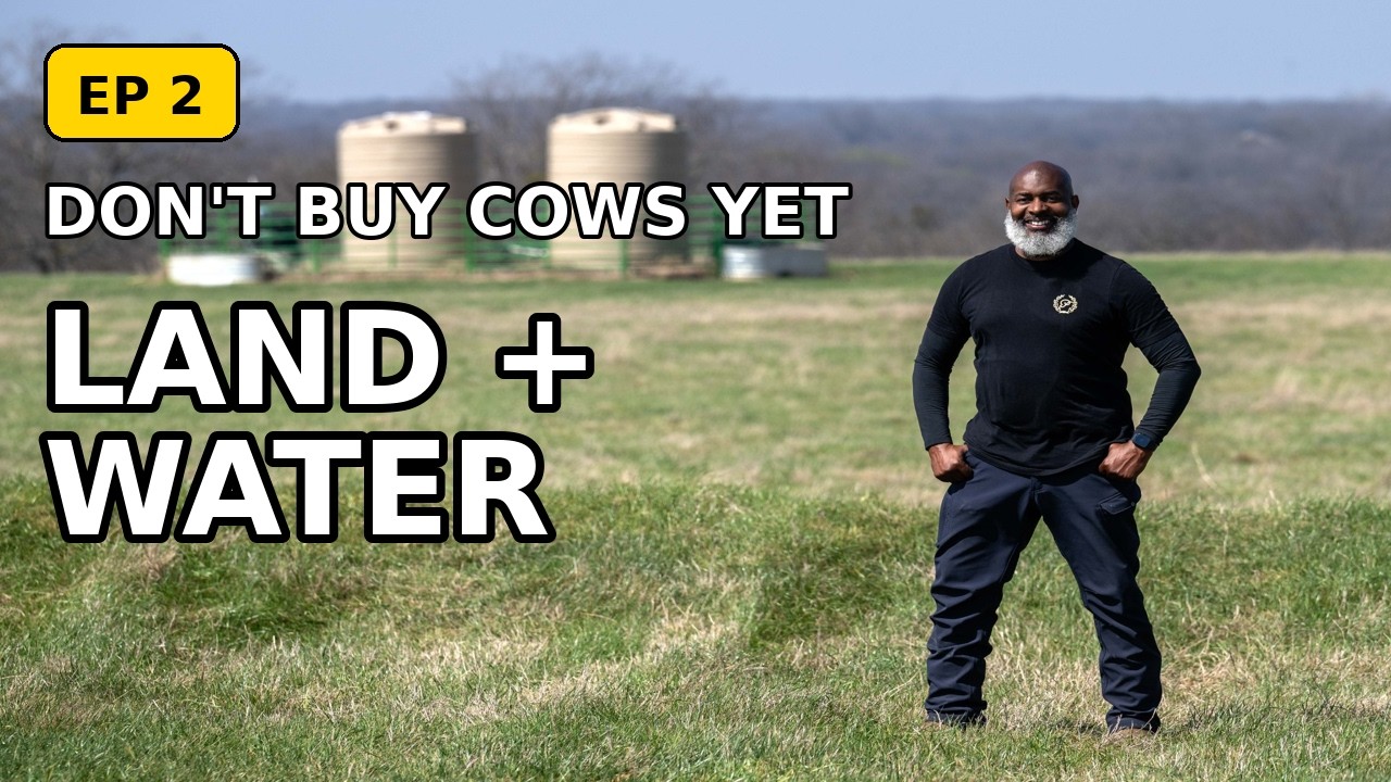 Эпизод 2: Пока не стоит покупать коров — земля и вода на первом месте.