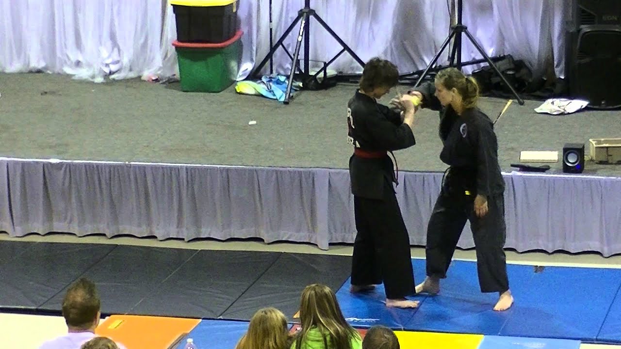 Sogo ryu bujutsu demo