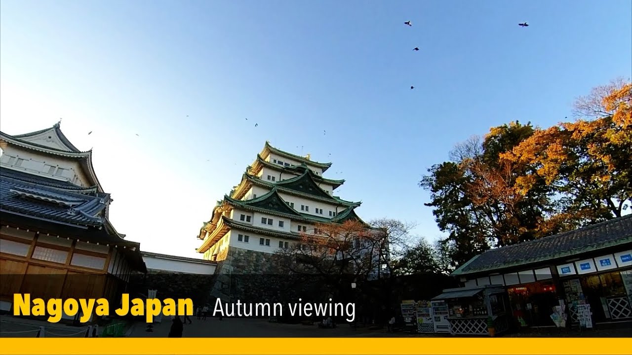 Nagoya Autumn 2020 | Nagoya Castle | Shiritori Garden | Autumn viewing and Christmas Illumination