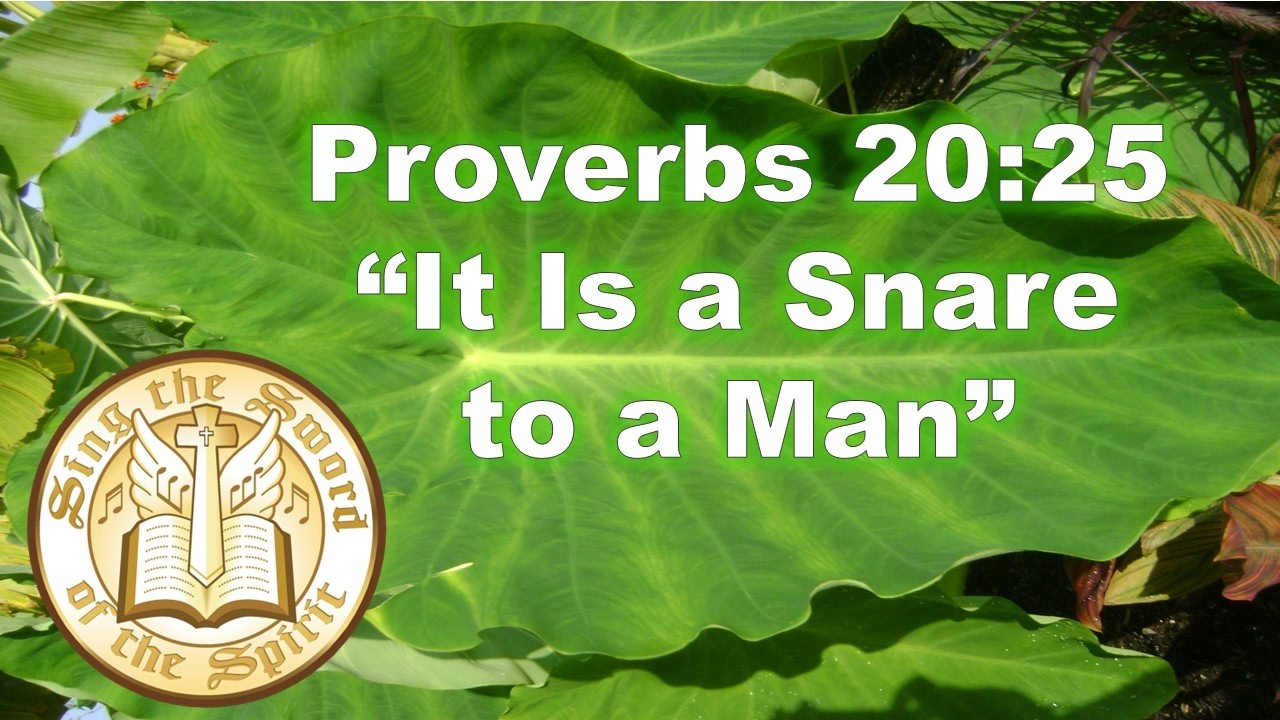 Proverbs 20:25 