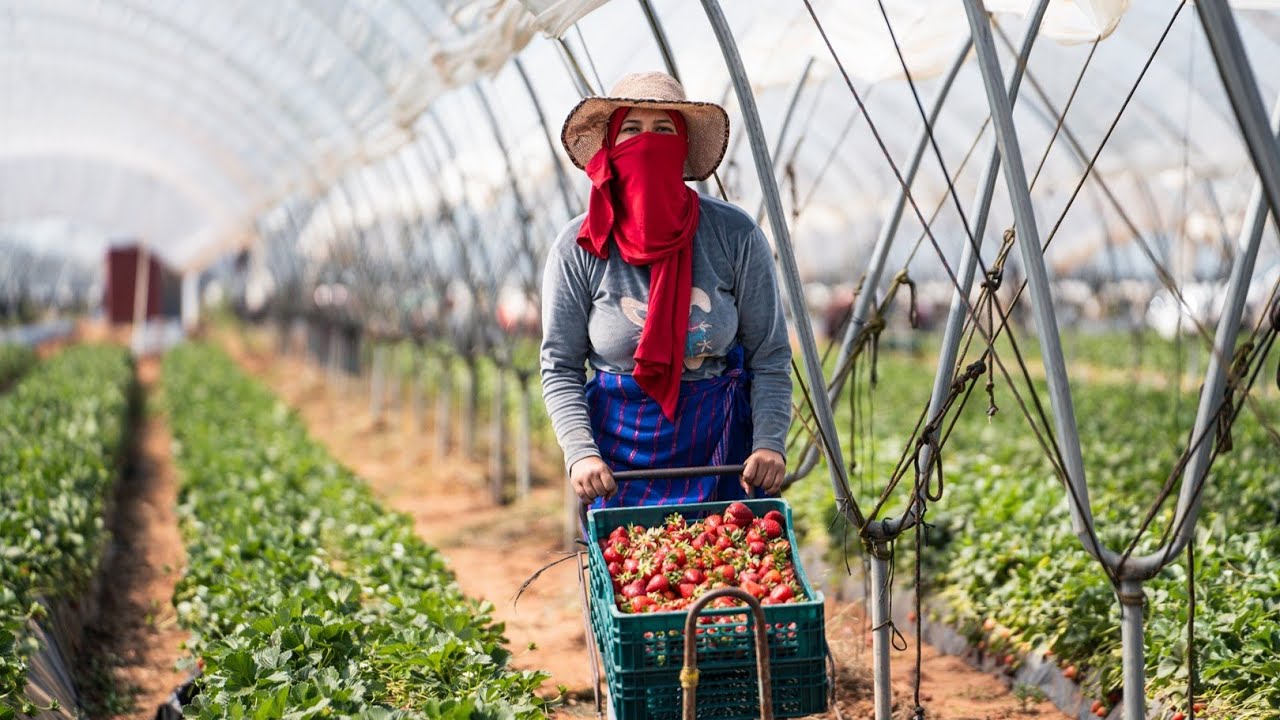 How we build sustainable partnerships