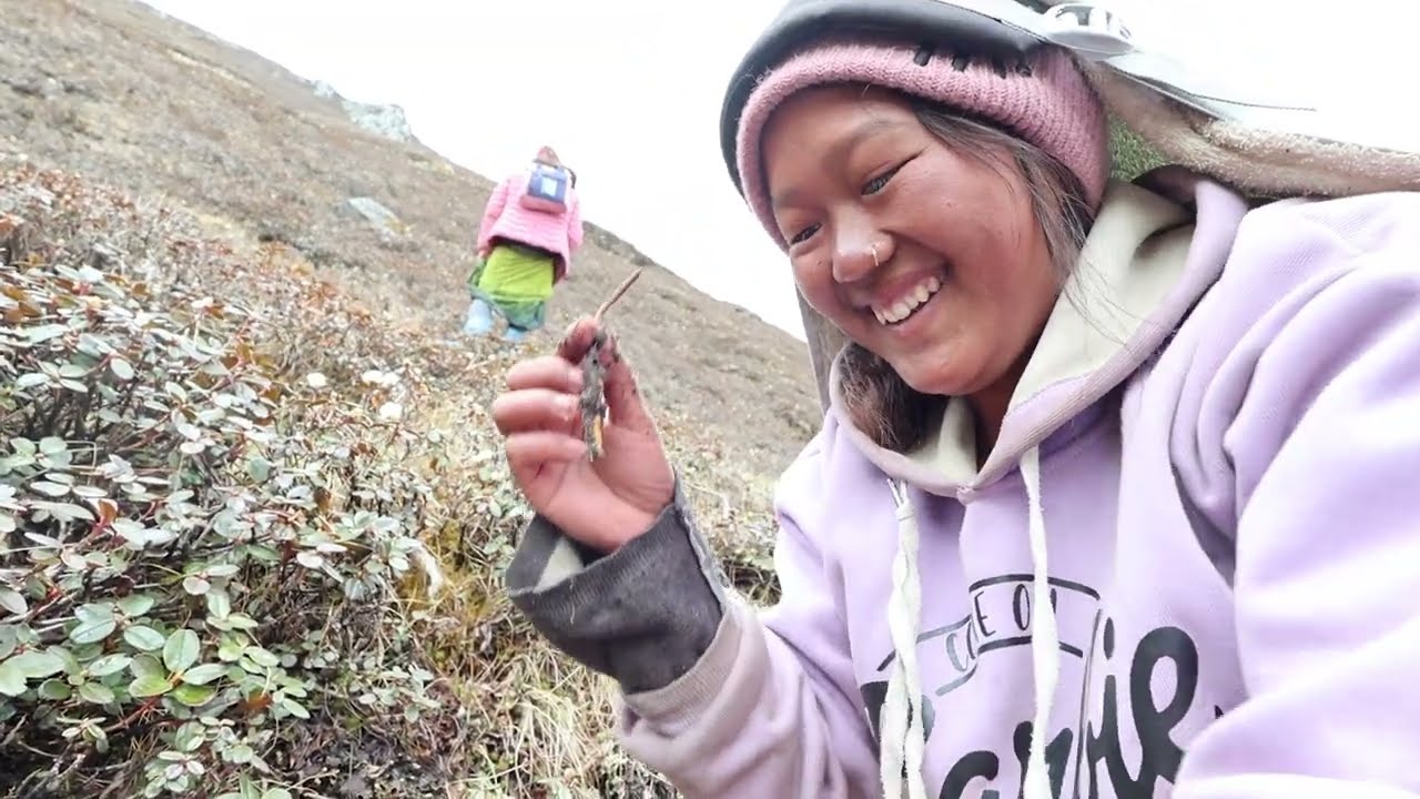 Searching for Gold in the Himalayas